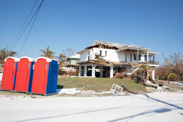 Best Stump Grinding and Removal  in Utica, NY